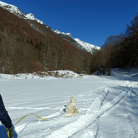 Стаи За Гости Рила Bagian luar foto